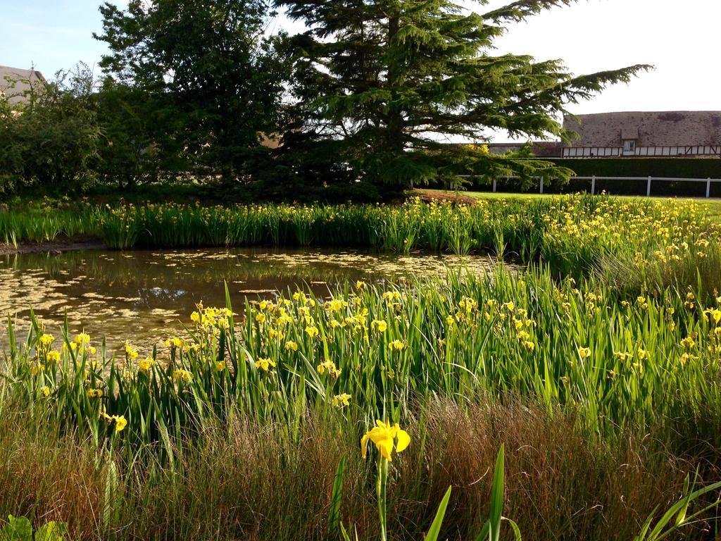 Casa rural Résidences Le Clos Du Manoir - Self Cooking Gauciel